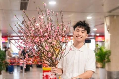 Illustrative photo (Photo: VNA)