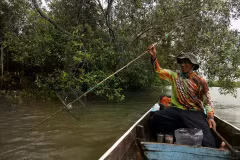 A fisherman crosses the mangrove forest in Deli Serdang, North Sumatera, on October 20, 2025. (Photo: Antara)