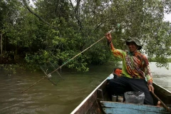 A fisherman crosses the mangrove forest in Deli Serdang, North Sumatera, on October 20, 2025. (Photo: Antara)