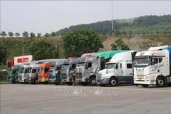 Lorries queued at the waiting yard for export at a border gate in Lao Cai province. (Photo: VNA)