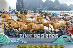 A panoramic view of the flower and light boulevard installation shimmering along the shore of the heritage bay. (Photo: VNA)