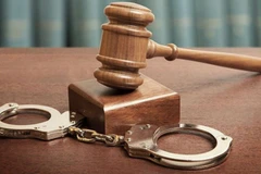 Driver involved in accident killing Vietnamese brothers in Germany prosecuted