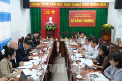 An overview of the working session (Photo: VNA)