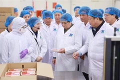 Prime Minister Pham Minh Chinh visits the Tam Dao livestock and beef processing complex project in Vinh Phuc (Photo: VNA)