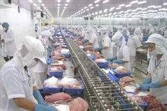 Workers process fish for export. (Photo: VietnamPlus)