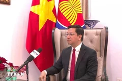 Vietnamese Ambassador to India, Nepal and Bhutan Nguyen Thanh Hai (Photo: VNA)