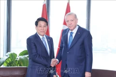 Vietnamese President Luong Cuong (L) and Turkish President Recep Tayyip Erdoğan at their meeting in New York on September 24 (Photo: VNA)