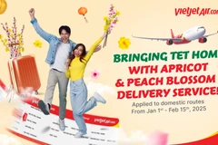 Vietjet launches the service for transporting peach and apricot blossoms on domestic flights from now until February 15, 2025 (Photo courtesy of Vietjet)