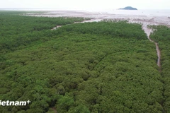 Illustrative image (Photo: VNA)