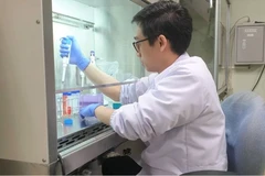 Dr. Rahmat Kurniawan at Sumatra Institute of Technology (Itera) conducts a research on compounds from mulberry plants in Bandar Lampung. (Photo: Antara)