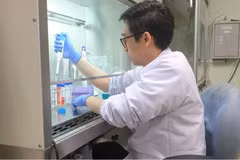 Dr. Rahmat Kurniawan at Sumatra Institute of Technology (Itera) conducts a research on compounds from mulberry plants in Bandar Lampung. (Photo: Antara)