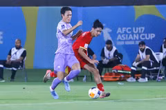 Illustrative image (Photo: VFF)