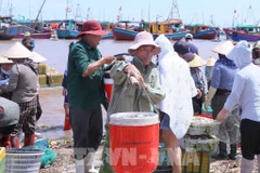 People transport purchased seafood ashore to sell at Giao Hai Fish Market in Giao Phuc commune (Photo: VNA)