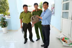 A local resident voluntarily hands over a pangolin to authorities in Ham Kiem commune, Lam Dong province. (Photo: VNA)