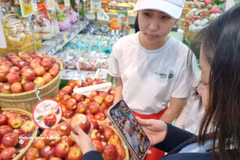 A consumer scans a QR code to access product origin information. (Photo: VNA)