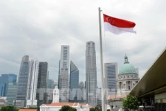 A corner of Singapore (Photo: AFP/VNA)