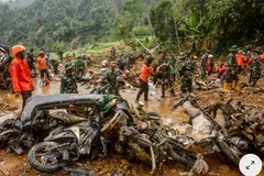 The death toll from a landslide in Indonesia rose to 25 as rescuers found three more bodies on January 24. (Photo: AFP/VNA) 