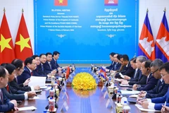 An overview of the meeting. (Photo: VNA)