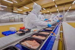 A packaging line of chilled pork in a company located in Ho Chi Minh City (Photo: VNA)