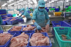 Tra fish is processed for exports. (Photo: VNA)