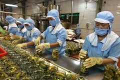 Workers process agricultural products for export. (Photo: VNA)