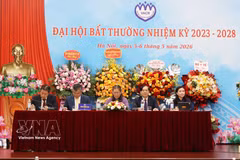 The Vietnam Association for Protection of Child Rights (VACR) holds an extraordinary congress in Hanoi on May 5-6. (Photo: VNA) 