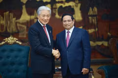 Prime Minister Pham Minh Chinh (right) receives Governor of Tochigi prefecture Fukuda Tomikazu in Hanoi on December 16. (Photo: VNA)