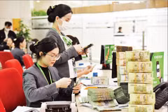 Commercial banks are providing approximately 88% of total green credit outstanding in Vietnam. (Photo: nhandan.vn)