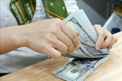 The daily reference exchange rate for the US dollar is set at 24,425 VND/USD on February 6. (Photo: VNA)