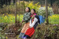 Vietnam is emerging as a safe, green, friendly destination with a rich cultural identity (Photo: VNA) 
