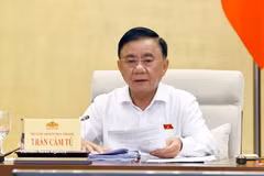 Politburo member, Permanent member of the Secretariat of the Communist Party of Vietnam Central Committee Tran Cam Tu. (Photo: VNA)