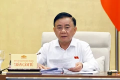 Politburo member, Permanent member of the Secretariat of the Communist Party of Vietnam Central Committee Tran Cam Tu. (Photo: VNA)