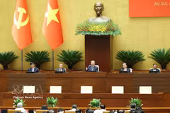 Party General Secretary and State President To Lam (centre) chairs the conference. (Photo: VNA)