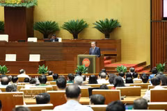 Party General Secretary and State President To Lam speaks at the conference. (Photo: VNA)