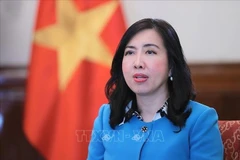 Deputy Minister of Foreign Affairs Le Thi Thu Hang (Photo: VNA)