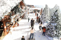 People enjoy the Christmas atmosphere in Da Lat. (Photo: baodautu.vn)