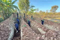 The K53 team recovers the remains of four Vietnamese soldiers fallen in Laos and Cambodia (Photo: VNA)