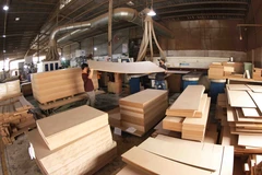 Producing MDF panels for export at Hai Duong MDF Construction and Manufacturing Co., Ltd., in Ho Chi Minh City (Photo: VNA)