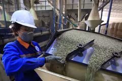 Coffee processed at Simexco Dak Lak. Products with low, transparent, and well-managed carbon footprints will hold long-term competitive advantages. (Photo: VNA) 
