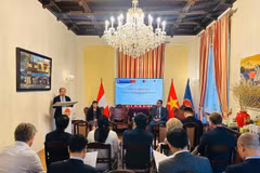 VAST Vice President Prof. Dr. Tran Tuan Anh speaks at an event in Vienna. (Photo published by VNA)