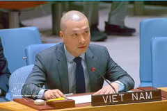 Minister Counsellor Nguyen Hoang Nguyen, Deputy Permanent Representative of Vietnam to the UN addresses the session (Photo: VNA)