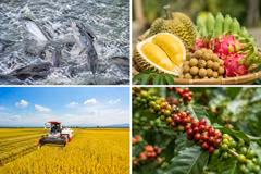 Vietnamese agricultural products face significant pressure in 2026 regarding growth, markets, and production costs.