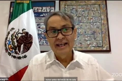 Mexican Ambassador to Vietnam Alejandro Negrín. (Photo: VNA)