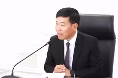 Deputy Minister of Foreign Affairs Nguyen Manh Cuong (Photo; VNA)