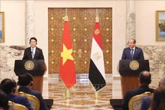 Vietnamese State President Luong Cuong (L) and Egyptian President Abdel Fattah El-Sisi meet with the press to inform the outcomes of their talks on August 5 in Cairo. (Photo: VNA)