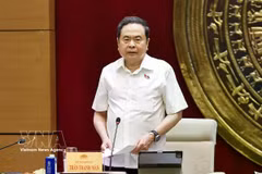 National Assembly Chairman Tran Thanh Man addresses the May 25 working session (Photo: VNA)