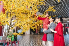 The Da Nang New Year Festival 2026 is set to take place from December 30, 2025 to January 3, 2026 (Source: Da Nang Department of Culture, Sports and Tourism)