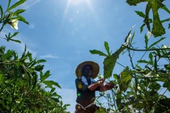 Illustrative image (Photo: The Edge Singapore)