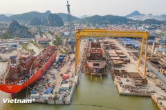 Vietnam’s shipbuilding industry is experiencing a wave of orders from international shipowners, but limited production capacity is preventing firms from accepting more contracts. (Photo: VietnamPlus)