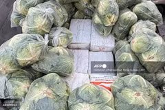Thai Authorities finds 900 kilograms of ketamine and 700 kilograms of crystal methamphetamine in packages hidden underneath bags of the leafy green vegetable. (Photo: AFP)